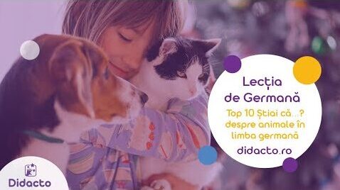 Top 10 informatii despre animale in germana